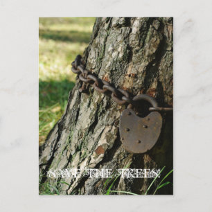 Save the Trees Post Card 1