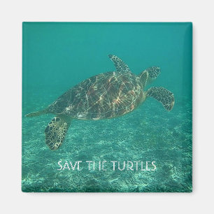 save the turtles magnet