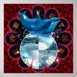 Save The Water Poster