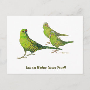 Save the Western Ground Parrot! Postcard