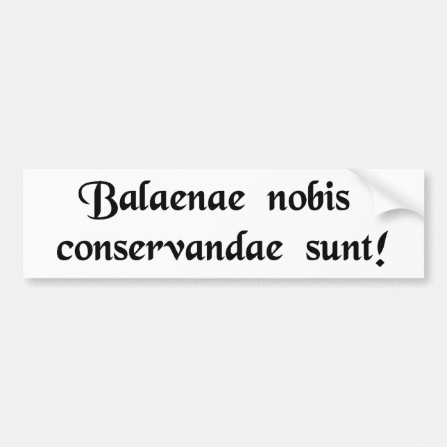 Save the whales! bumper sticker (Front)