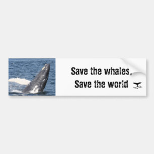 Save the whales, Save the world Bumper Sticker