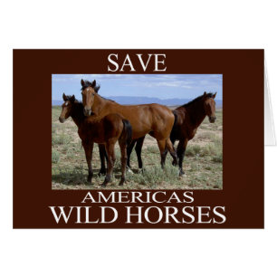 Save the Wild Horses