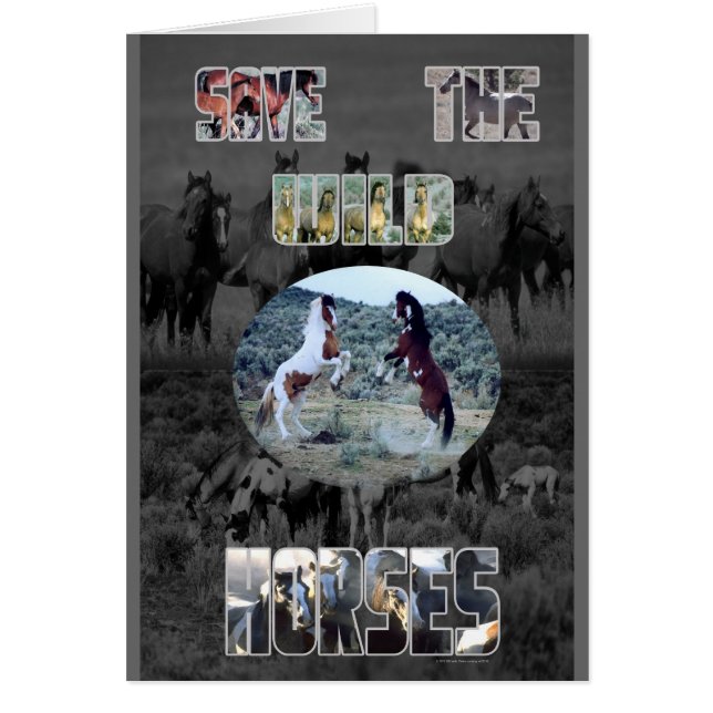 Save The Wild Horses (Front)
