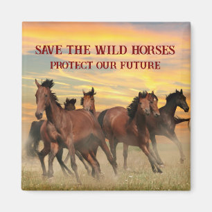 Save The Wild Horses Magnet