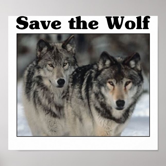Save the Wolf Poster (Front)