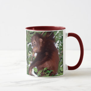 Save Wildlife: cute orangutans in the rainforest Mug