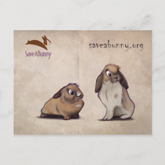 SaveABunny Postcard