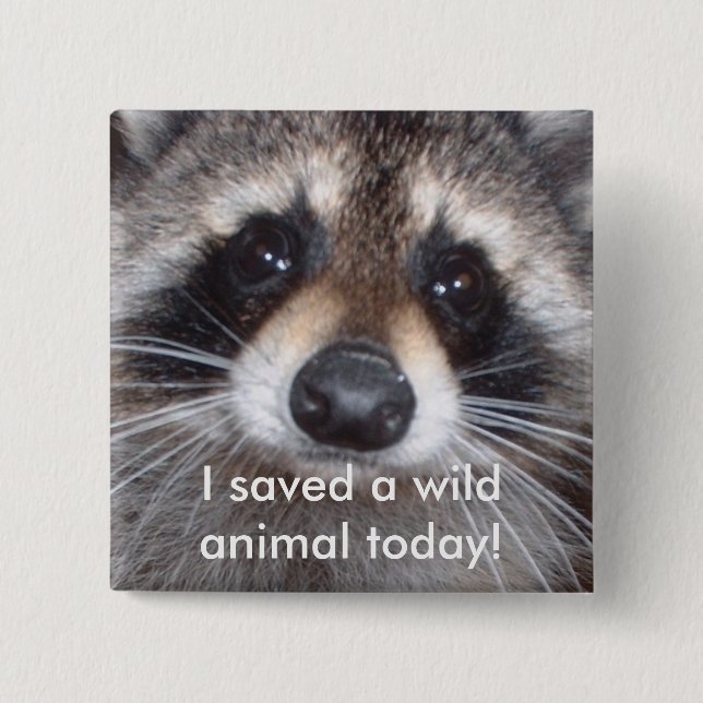 Saved a wild animal - raccoon 2 inch square button (Front)