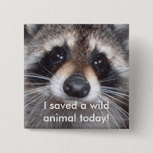 Saved a wild animal - raccoon 2 inch square button