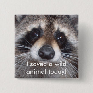 Saved a wild animal - raccoon 2 inch square button