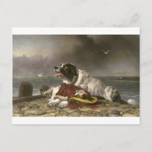 Saved by Edwin Henry Landseer Postcard