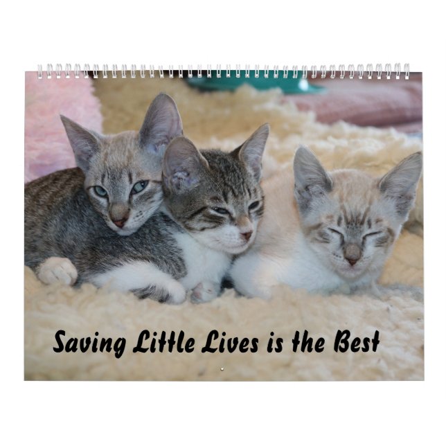 SAVING LITTLE LIVES IS THE BEST  CALENDAR (Cover)