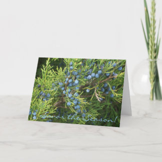 Savour The Season Holiday Card