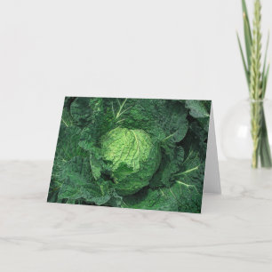 Savoy Cabbage Card