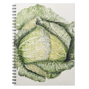 Savoy Cabbage Notebook