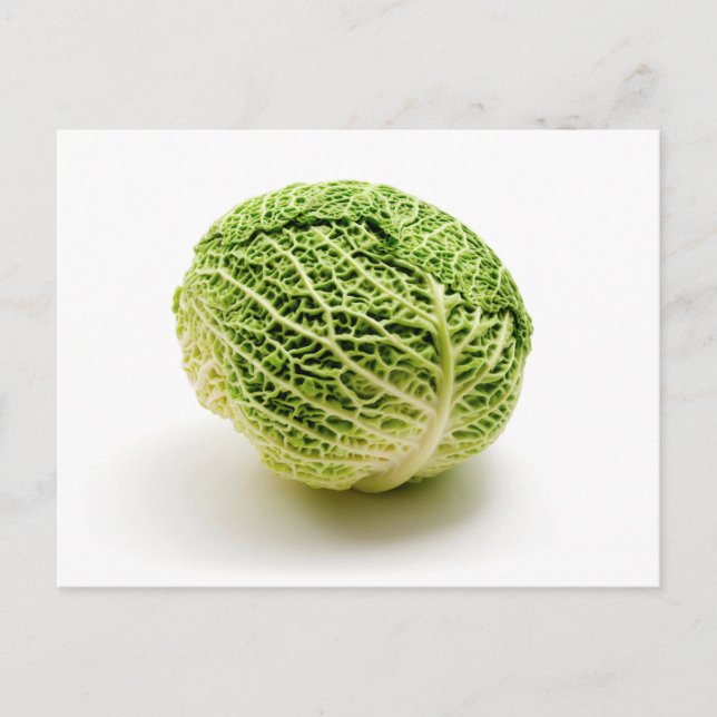 Savoy cabbage postcard (Front)
