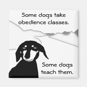 Savvy Sausage Wisdom - Obedience Classes Magnet