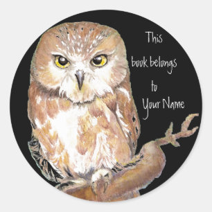 Saw Whet Owl Book Plate Classic Round Sticker