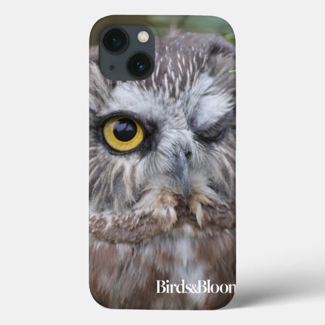 Saw-whet Owl Case-Mate iPhone Case (Back)