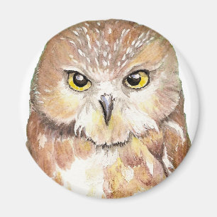 Saw Whet Owl Magnet