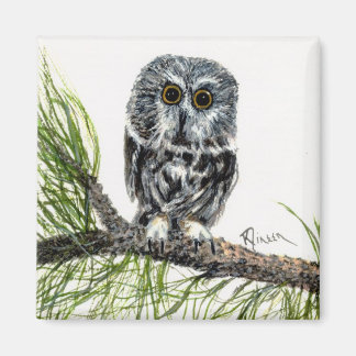 Saw Whet Owl Magnet