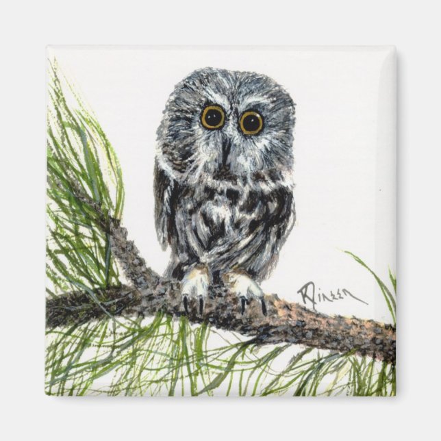 Saw Whet Owl Magnet (Front)