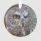 Saw-whet Owl