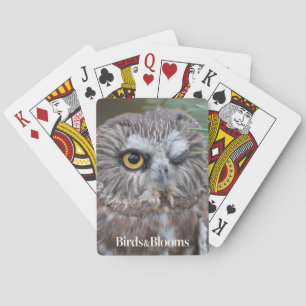 Saw-whet Owl Playing Cards