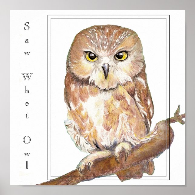 Saw Whet Owl Poster (Front)