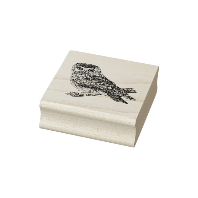 Saw Whet Owl Rubber Stamp (Stamp)