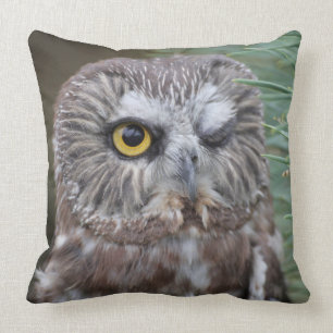 Saw-whet Owl Throw Pillow
