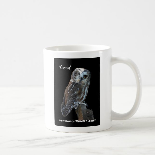 Sawhet Owls Coffee Mug (Right)