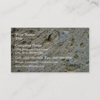 Sawn limestone block detail texture business card