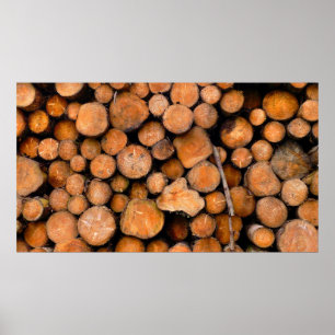 sawn logs poster