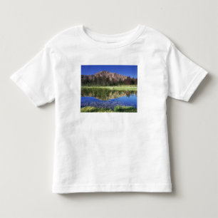 Sawtooth Mountains reflected in Fourth of July Toddler T-shirt