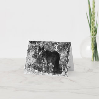 Sawtooth Pack Note Card