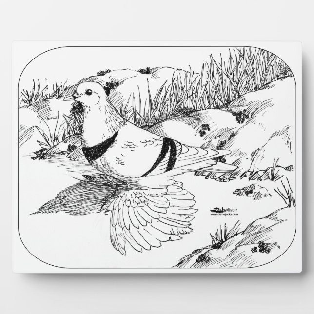 Saxon Crescent Pigeon 1973 Plaque (Front)