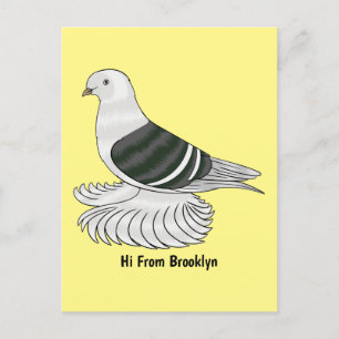 Saxon Shield pigeon bird cartoon illustration  Postcard