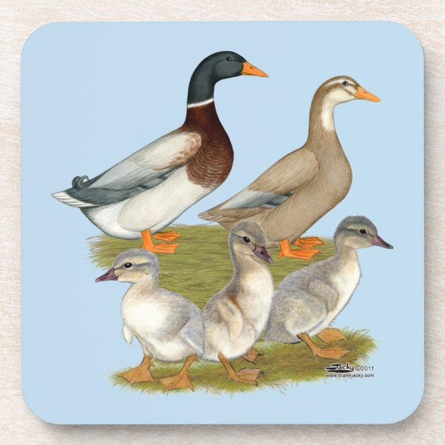 Saxony Duck Family Coaster (Front)