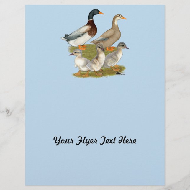 Saxony Duck Family Flyer (Front)