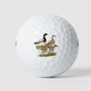 Saxony Duck Family Golf Balls
