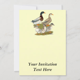 Saxony Duck Family Invitation