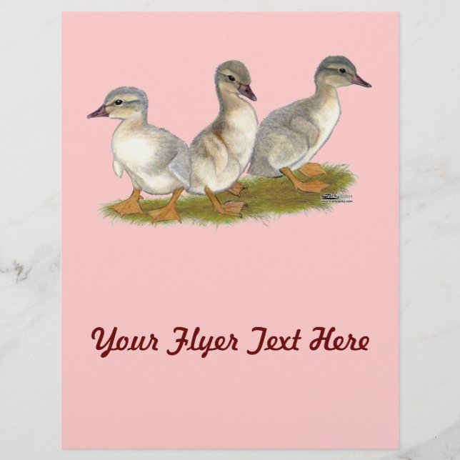 Saxony Ducklings Flyer (Front)