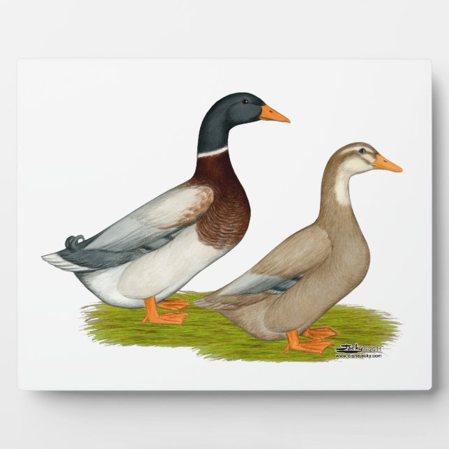Saxony Ducks Plaque (Front)