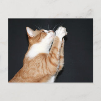 Say a little prayer postcard