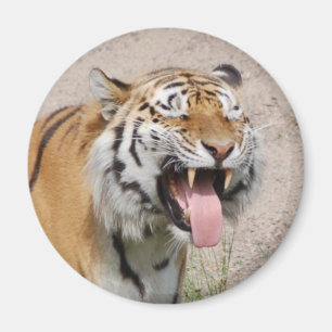 Say AHHHH Magnet