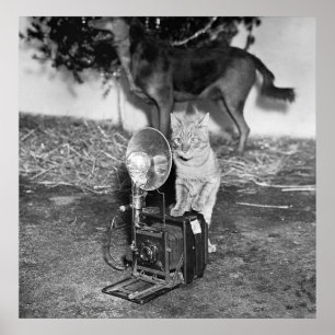 Say Catnip: 1936 Poster