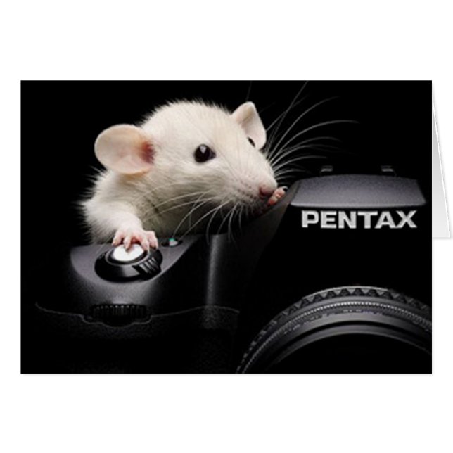 Say Cheese! (Front Horizontal)