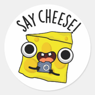 Say Cheese Funny Photographer Pun  Classic Round Sticker